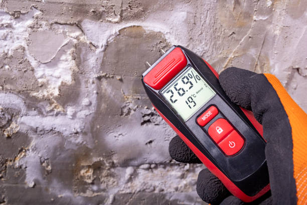 Reliable Jersey Village, TX Mold Removal Solutions